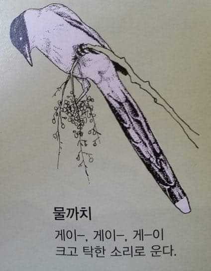 69ff8d9563fdf.jpg