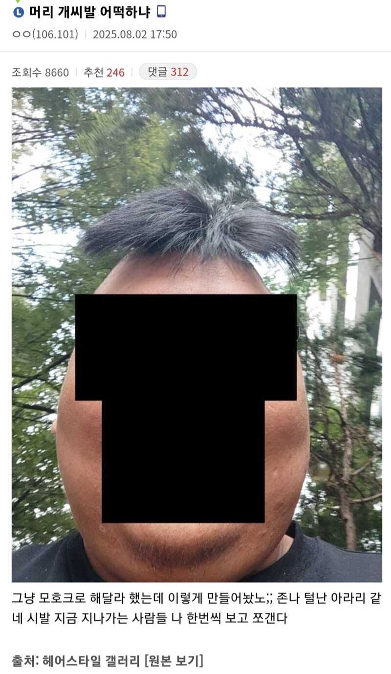 6a3554c985932.png