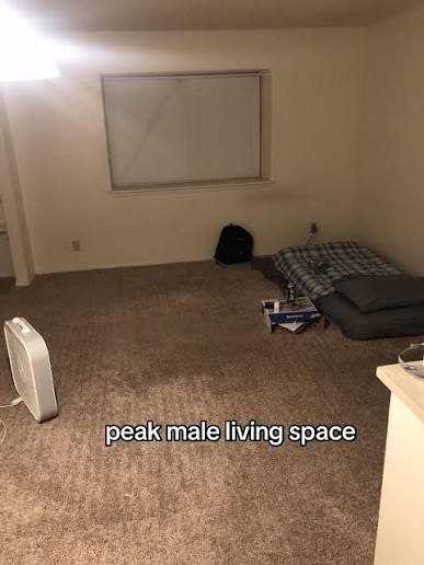 6a37cd99880b3.jpeg