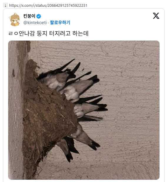 6a3b97ed096bd.png