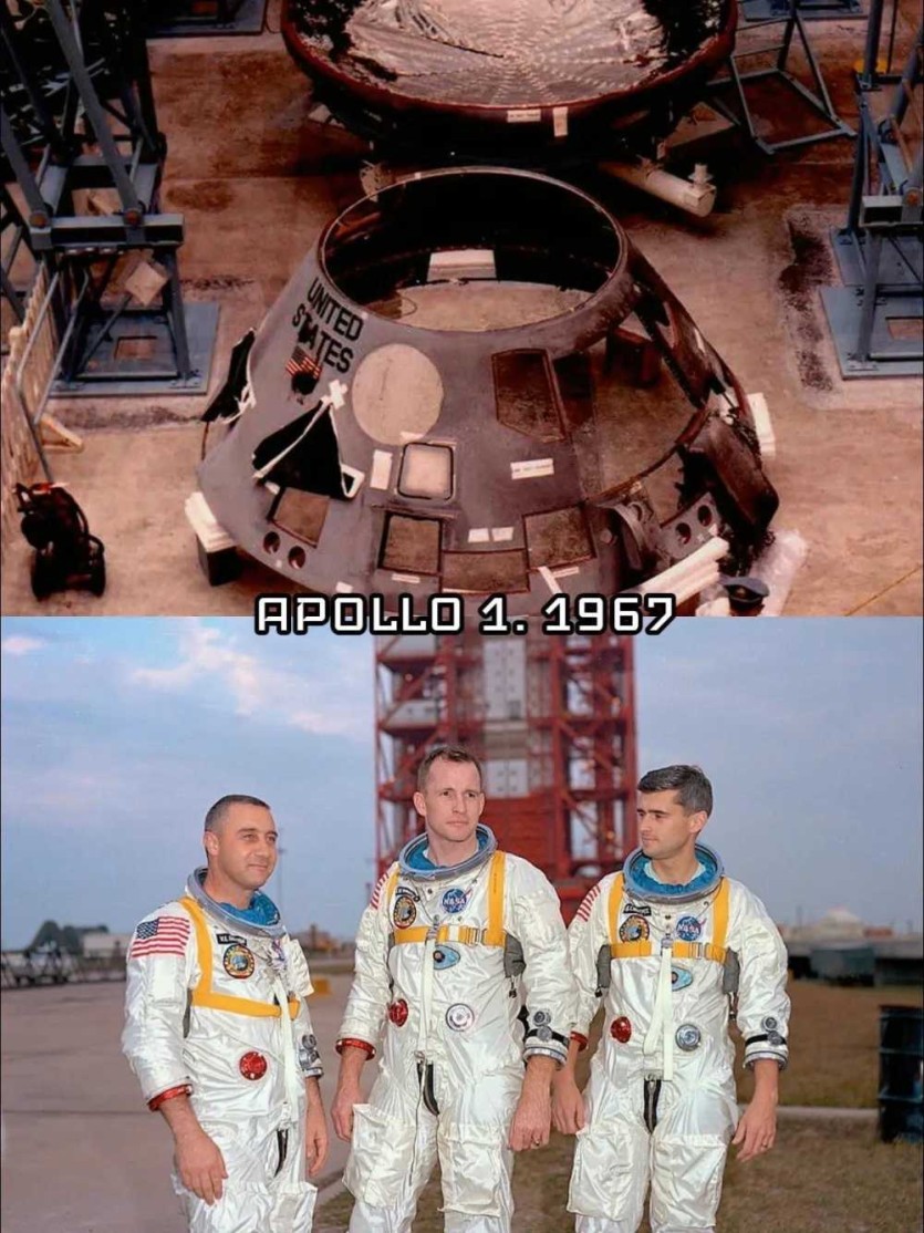 69d3635847598.JPG