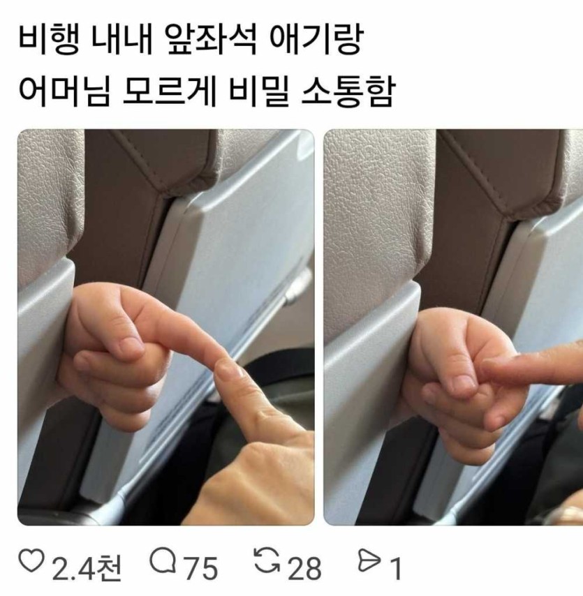 69f2eb36af84f.jpg
