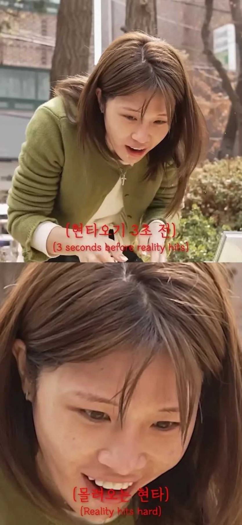 69fb1a8ce59b7.jpg