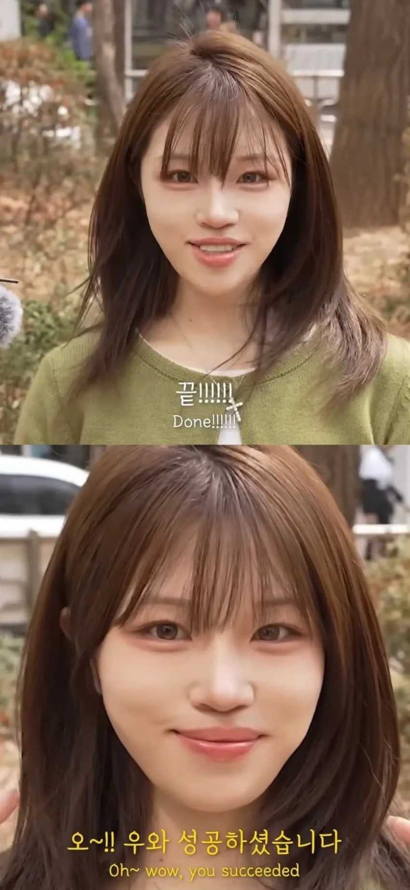 69fb1a8d87db4.jpg