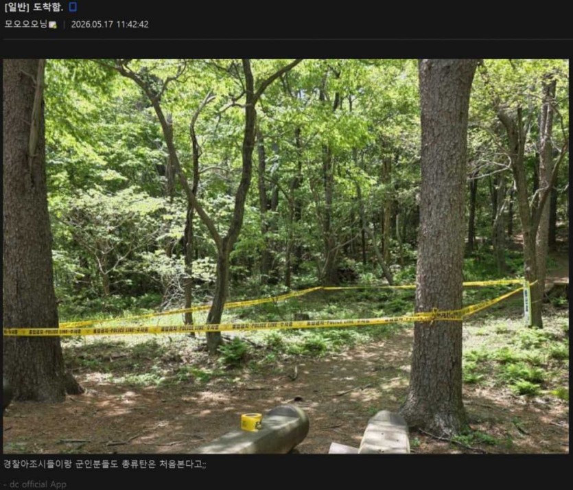 6a0970d593555.png