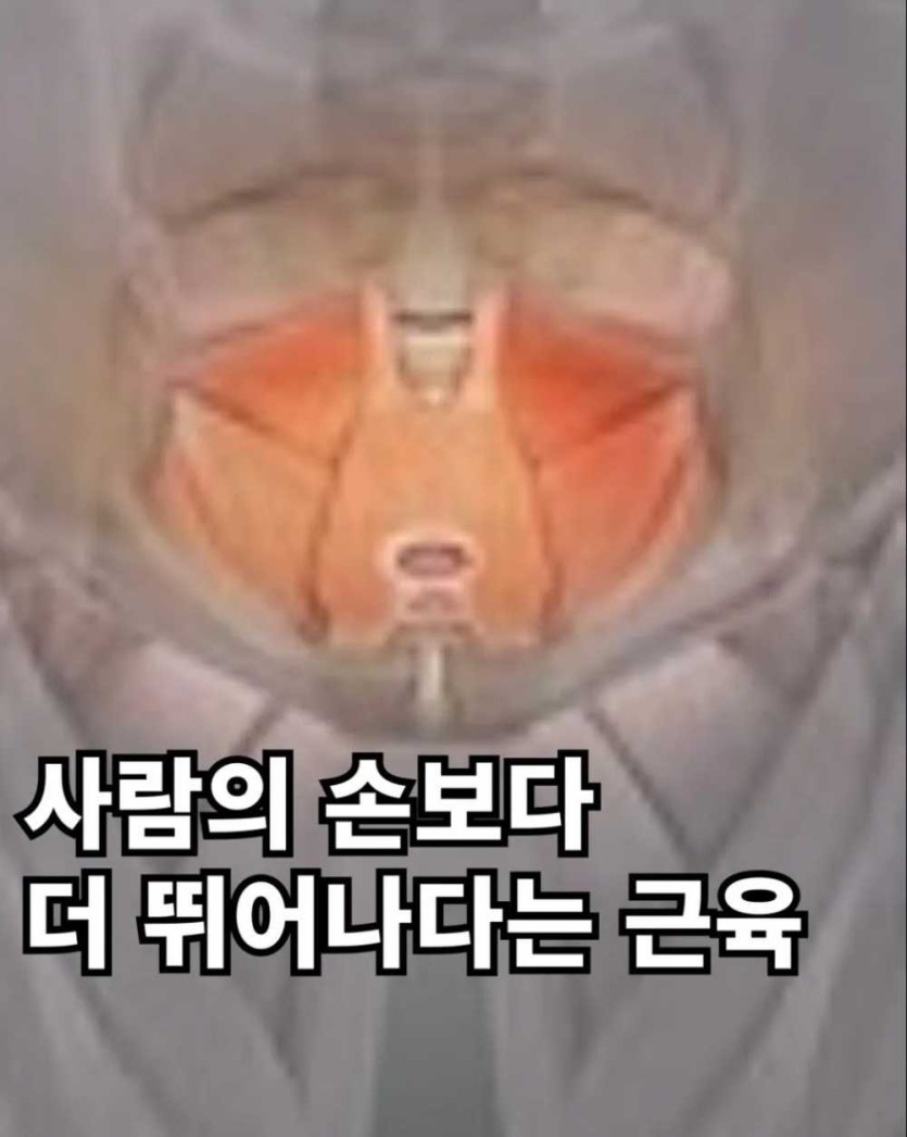 6a097eebb8357.jpg
