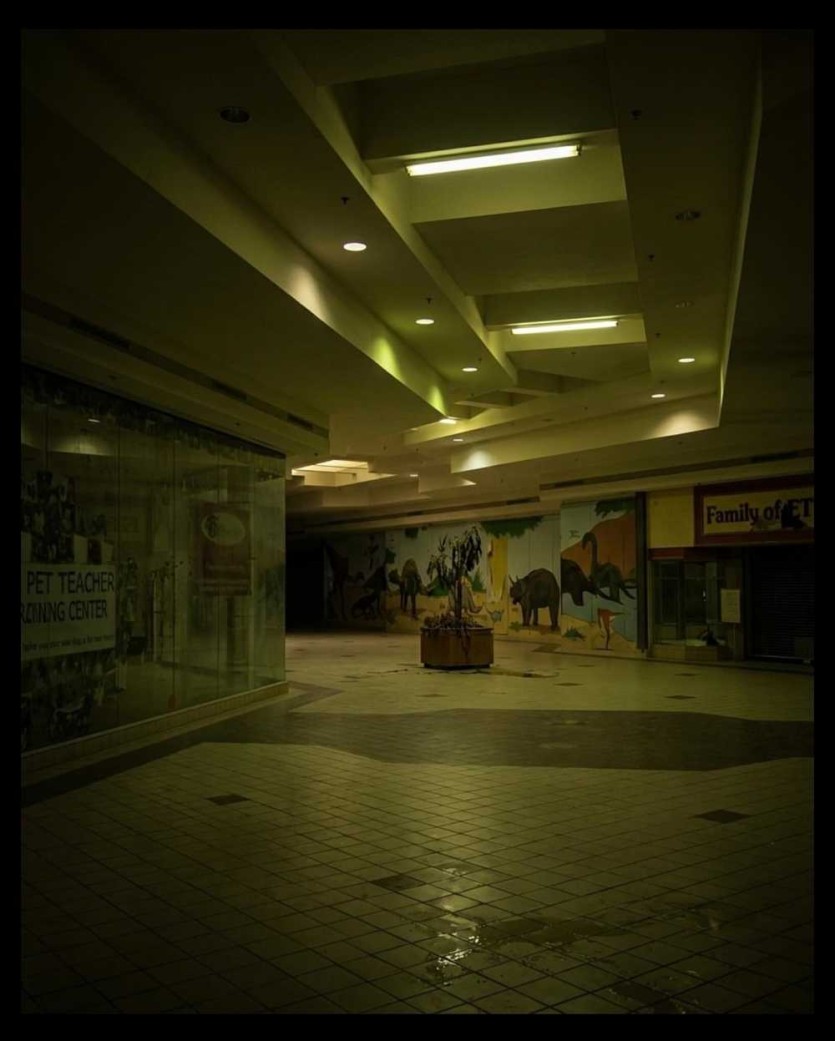 6a20048574235.jpeg