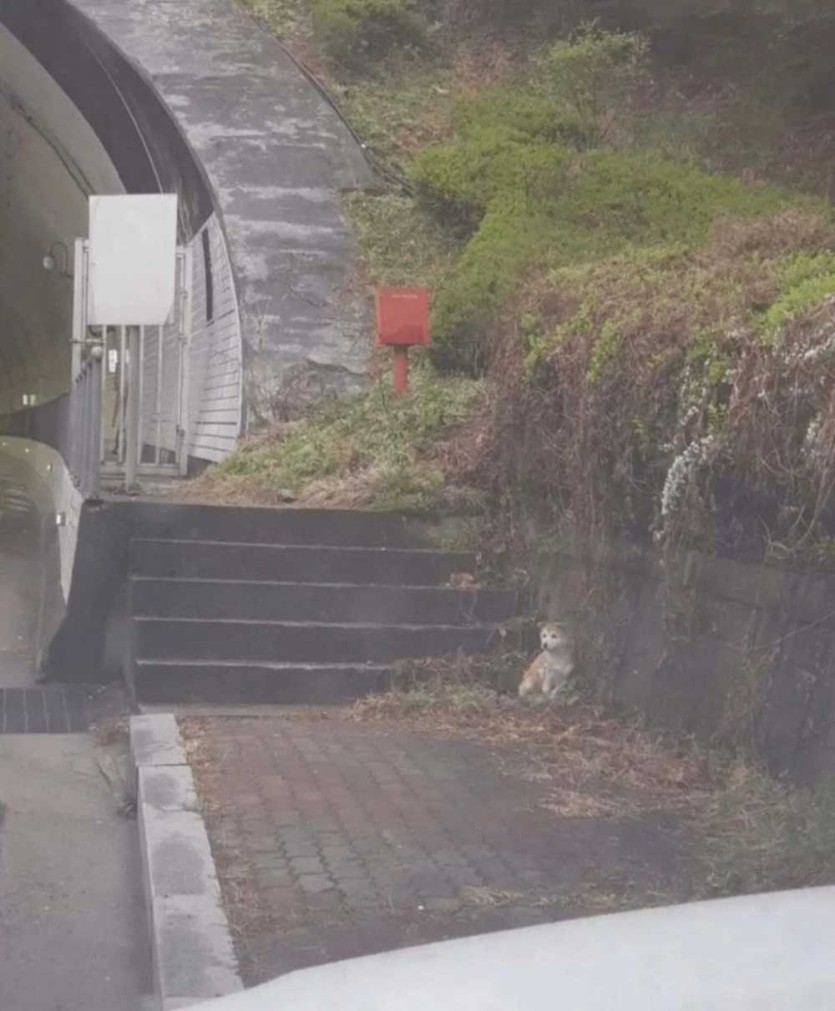 6a32b1c90cbc5.jpeg