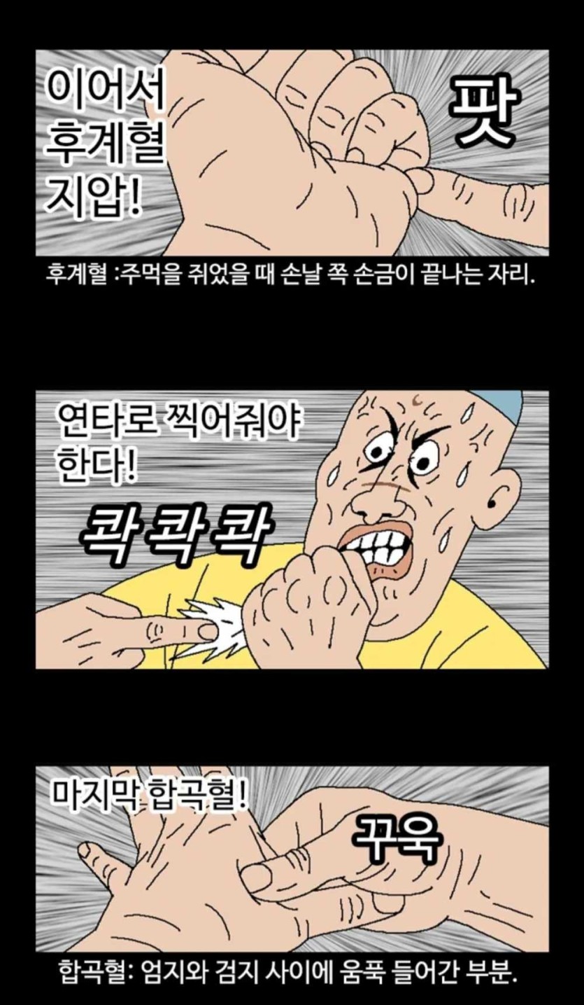 6a37955a5321e.jpeg