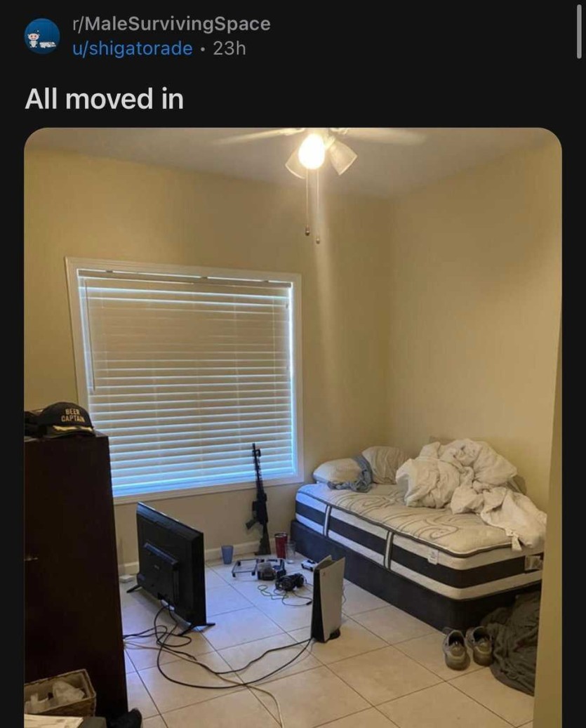 6a37cd99665ac.jpeg
