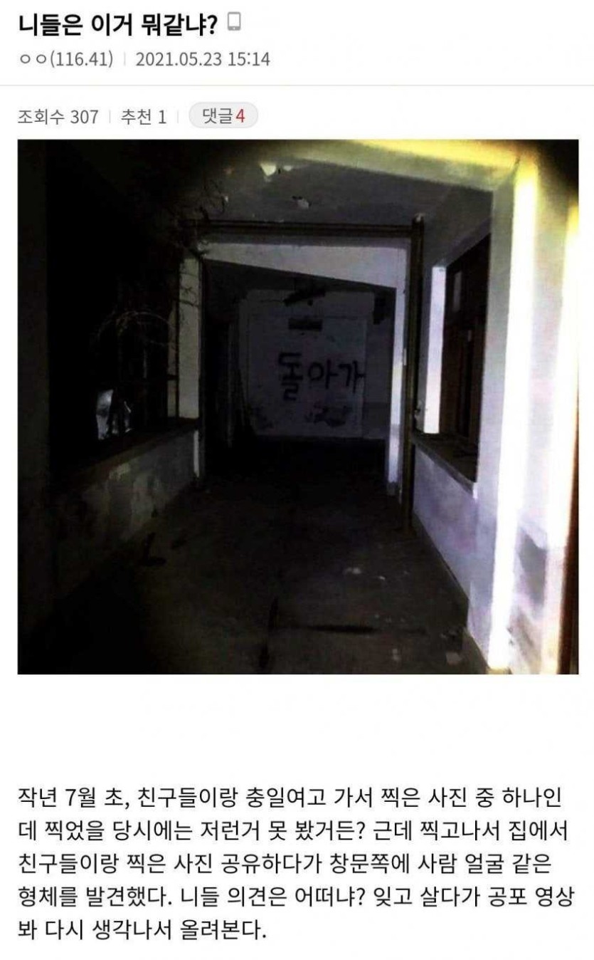 6a386853d4522.jpeg