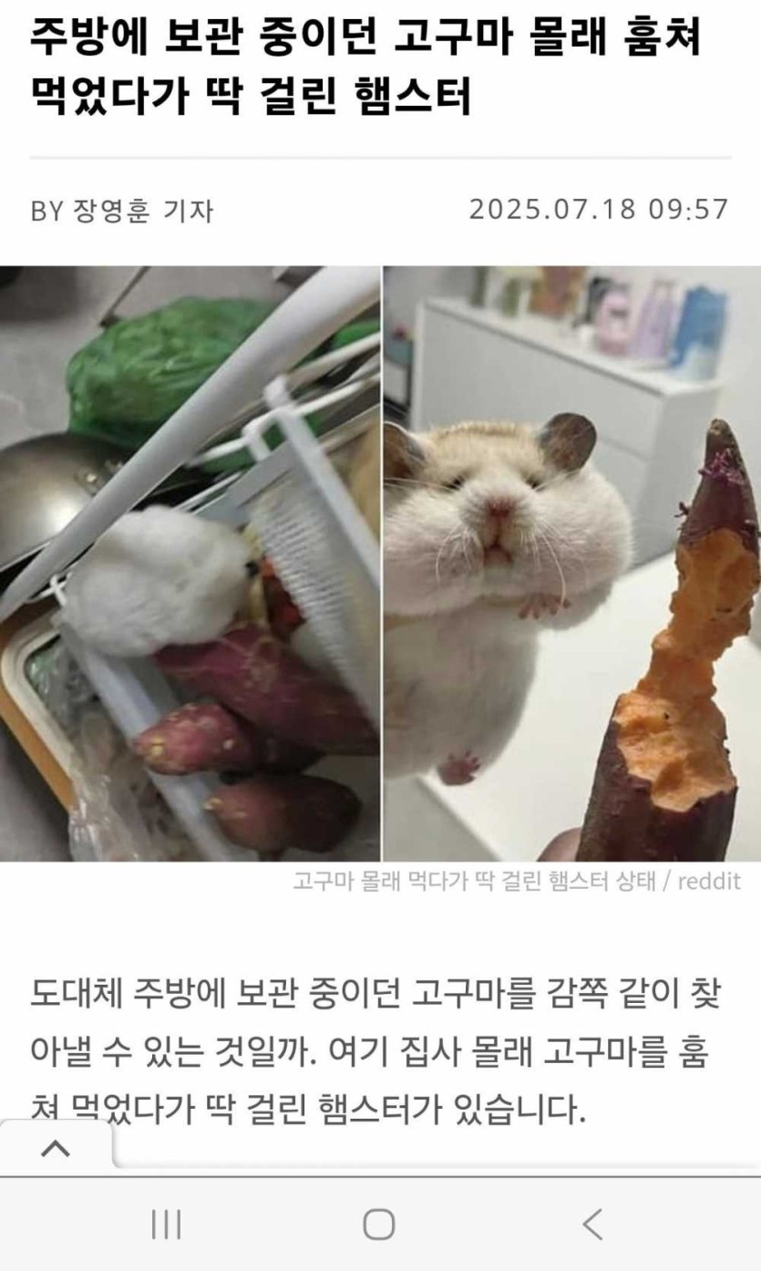 6a3a8cb642ab6.jpg