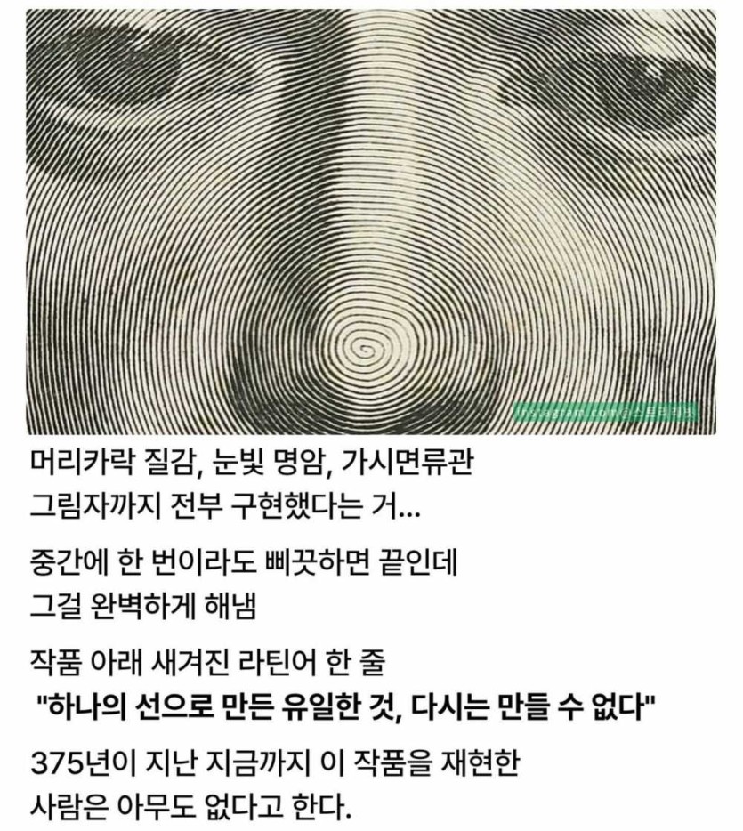6a47c9ccde388.jpg