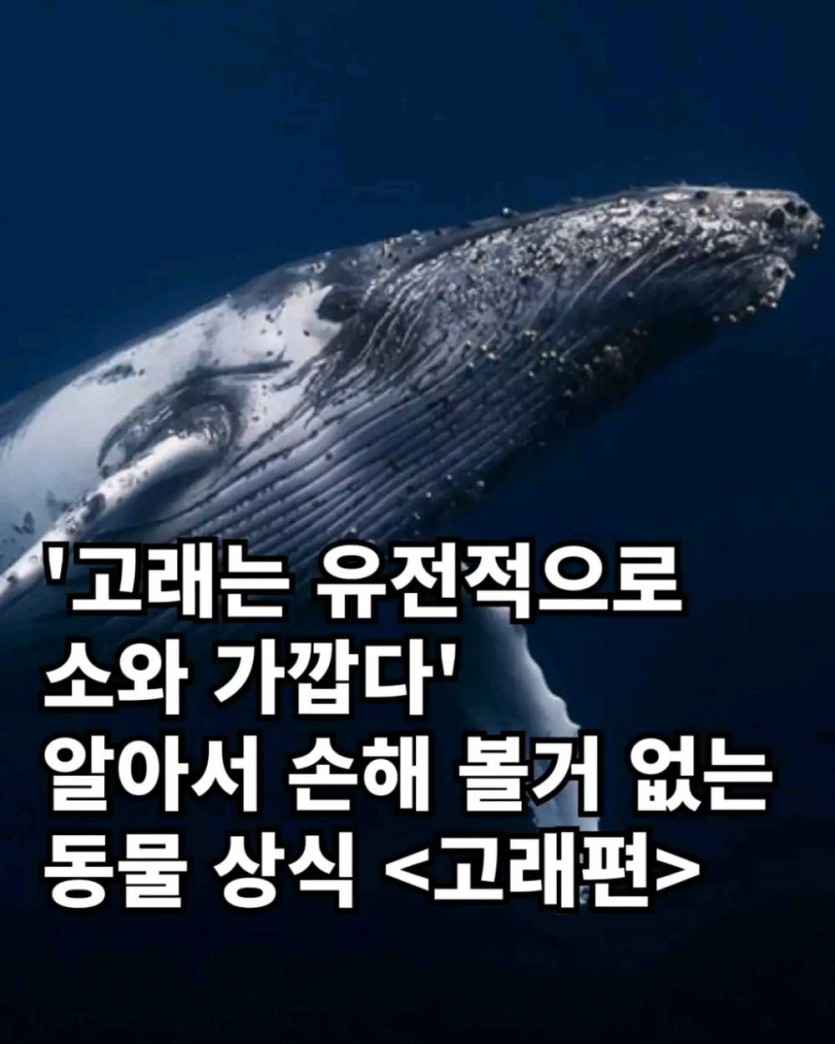 6a490d35b7ffd.png