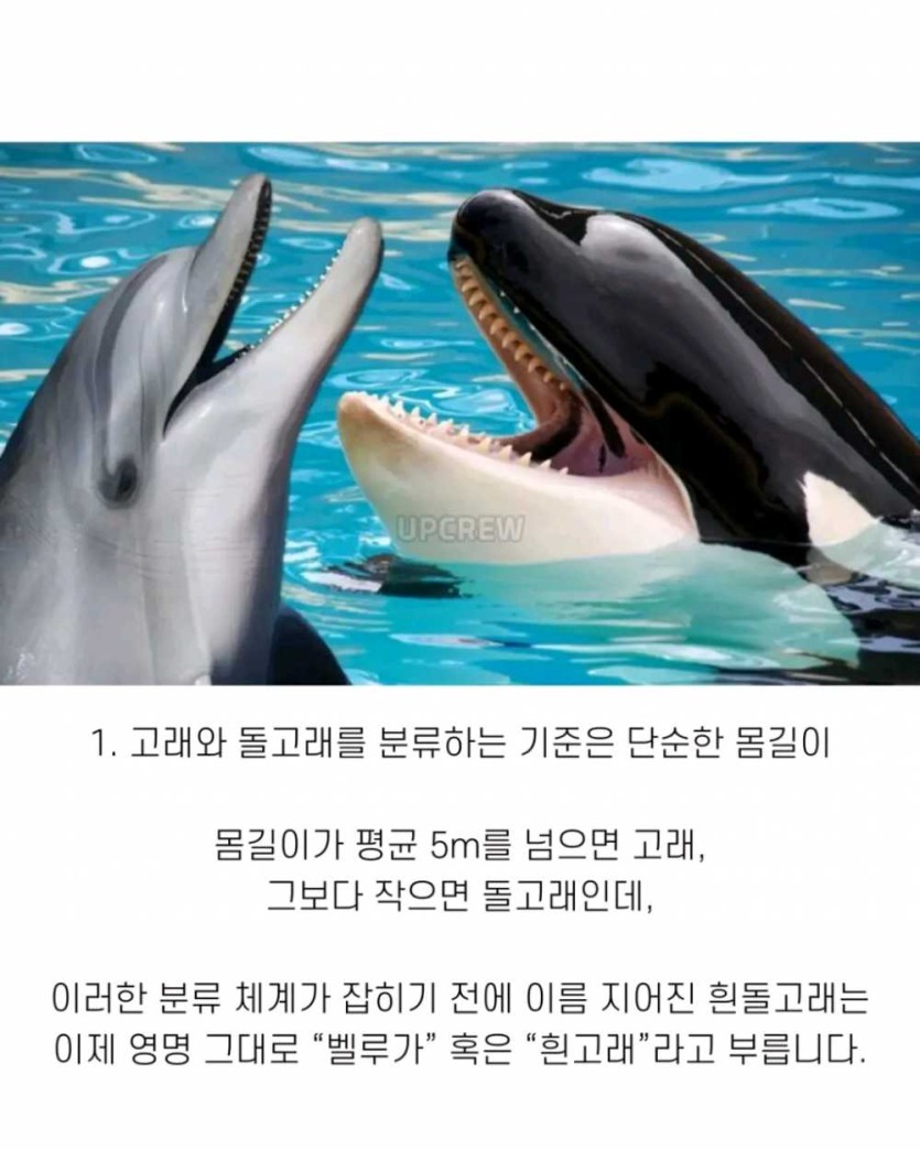 6a490d35c7280.png