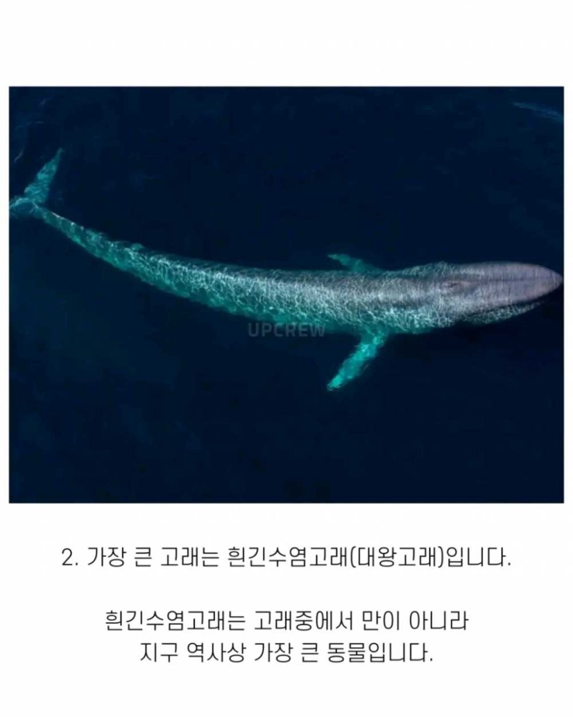 6a490d35d6421.png