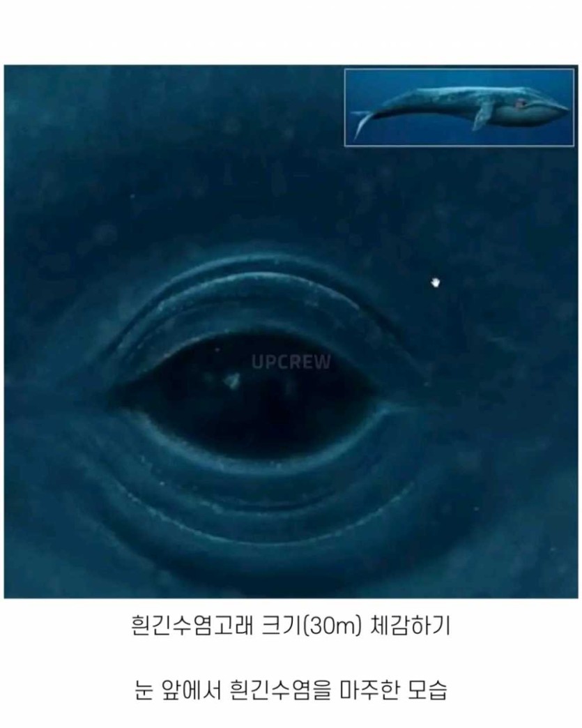 6a490d35dbdd7.png