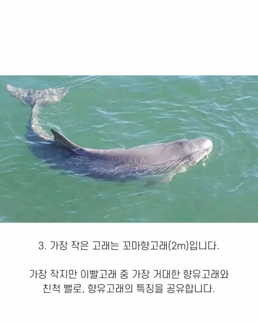 6a490d35e04df.png
