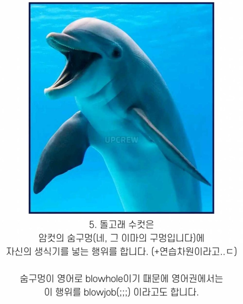 6a490d3601683.png