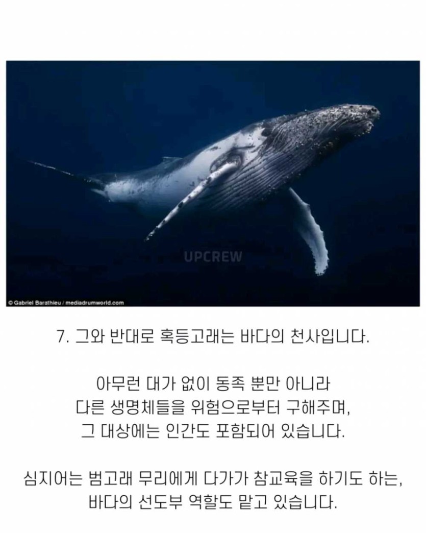 6a490d3611a41.png