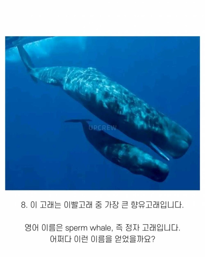 6a490d36209bc.png