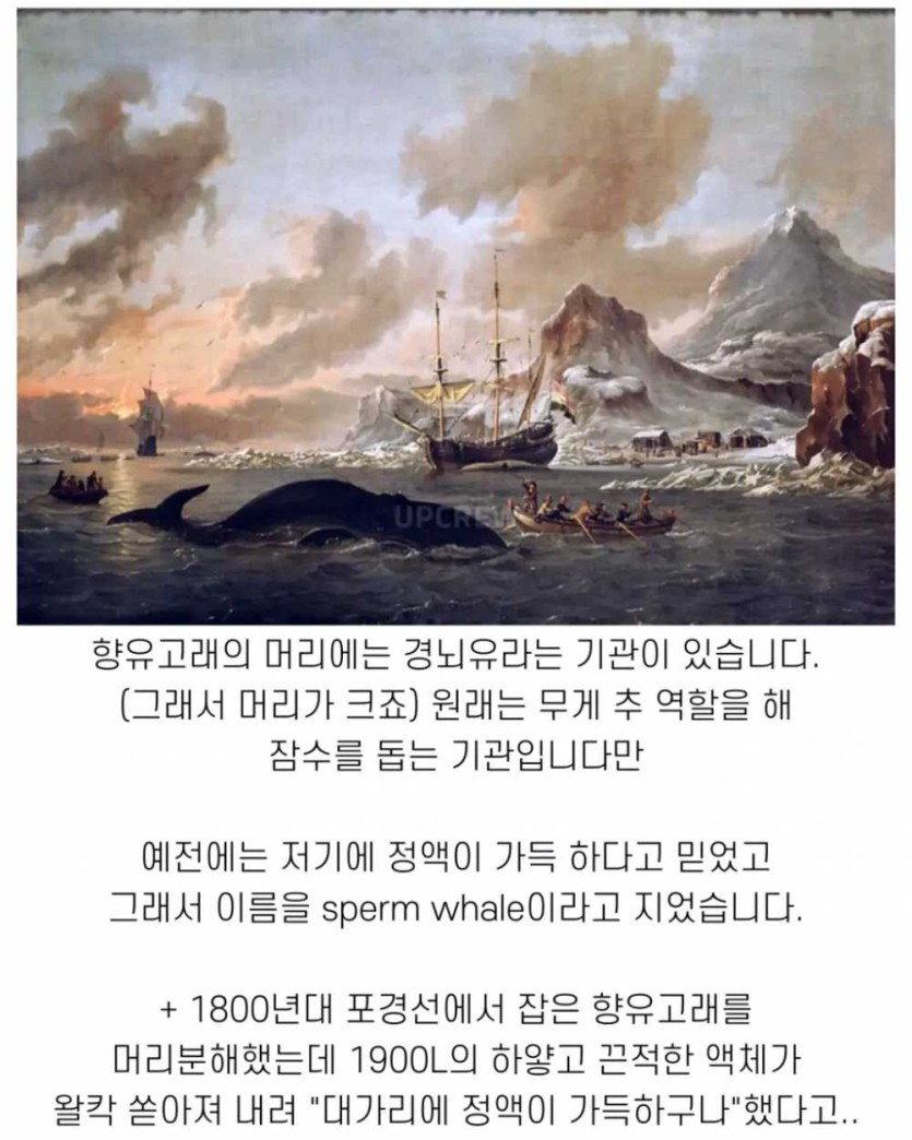 6a490d362ab6b.png