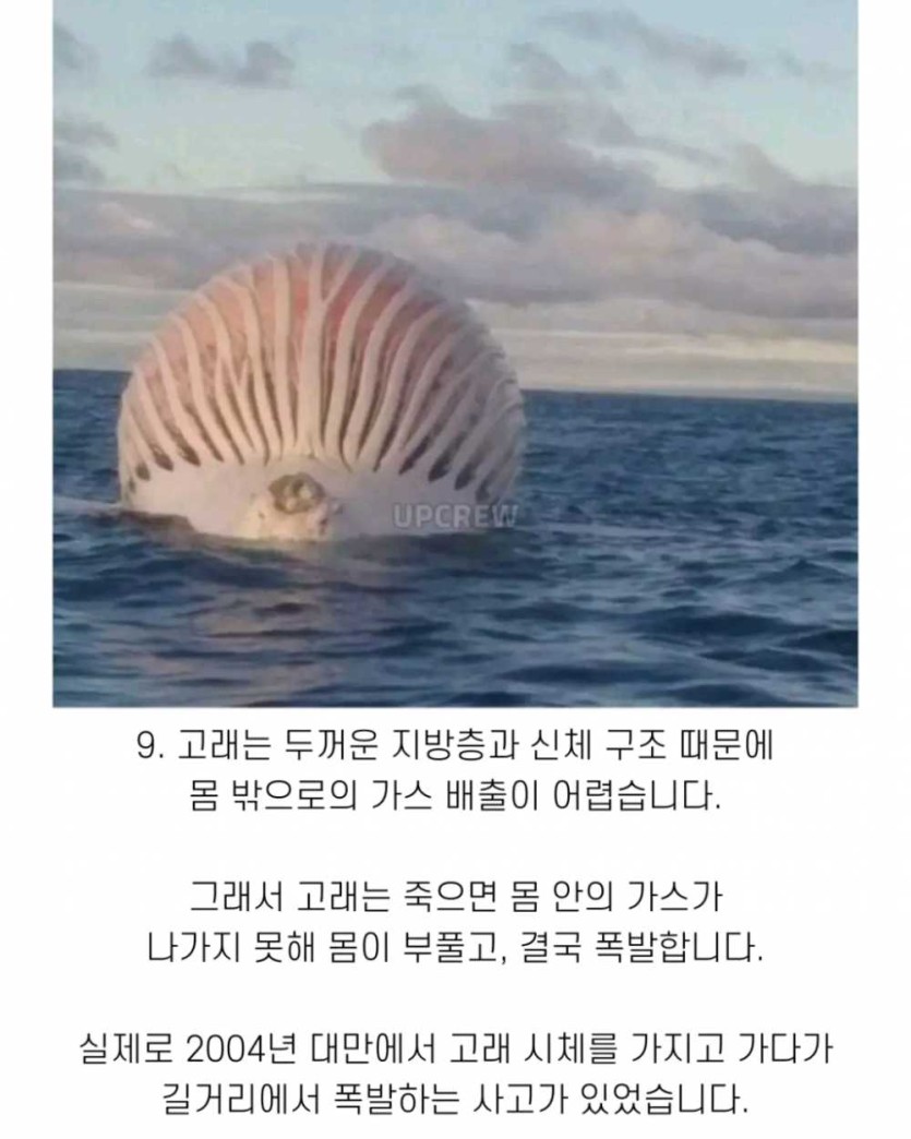 6a490d363bfd0.png
