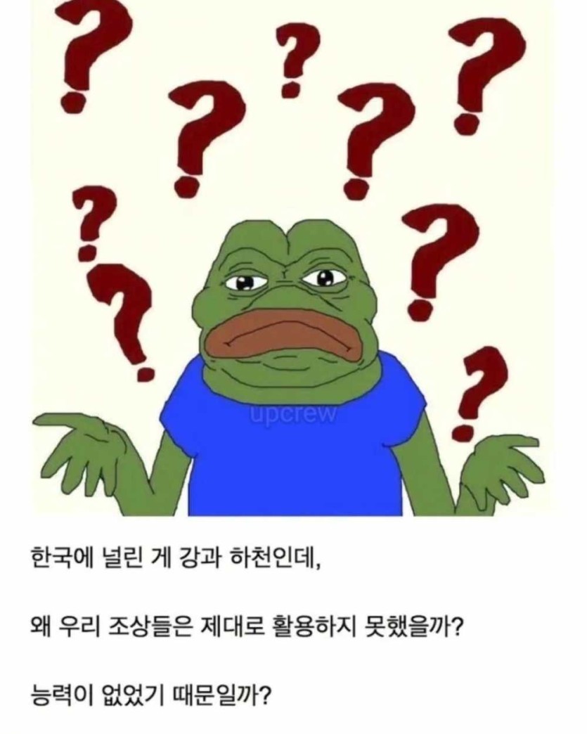 6a4bda6492868.jpeg
