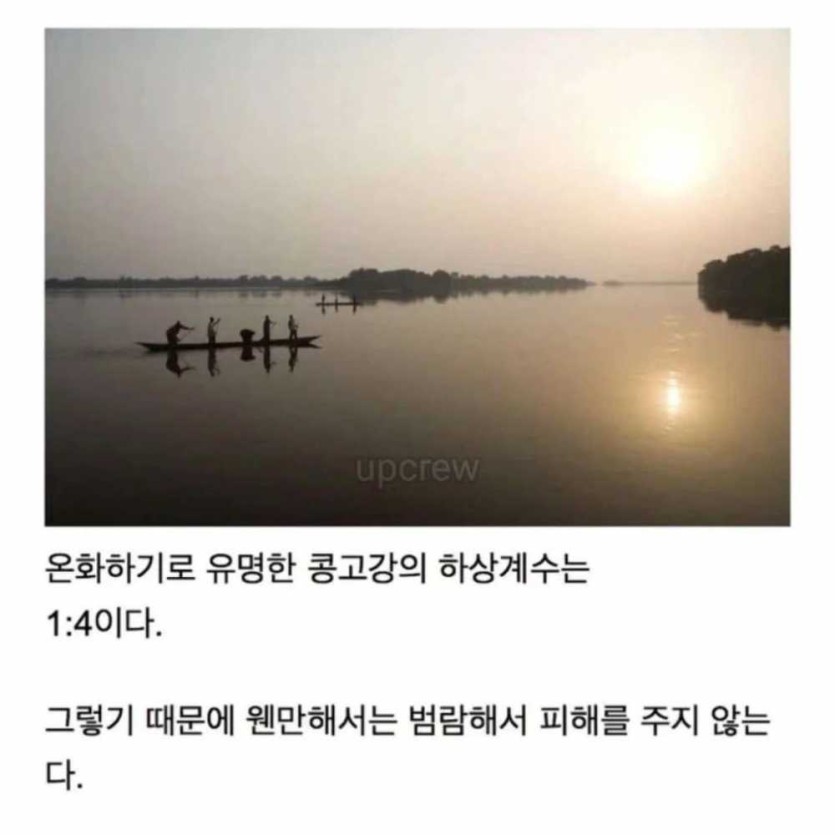6a4bda64a146f.jpg